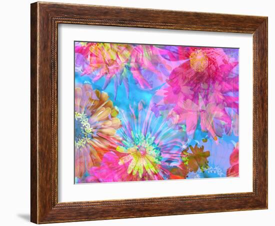 Multicolor Blossom Design from Zinnia, Gerber Daisy and Texture, Photographic Layer Work-Alaya Gadeh-Framed Photographic Print