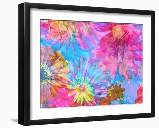 Multicolor Blossom Design from Zinnia, Gerber Daisy and Texture, Photographic Layer Work-Alaya Gadeh-Framed Photographic Print