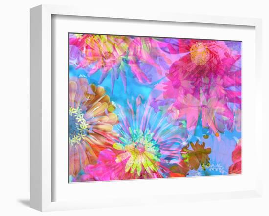 Multicolor Blossom Design from Zinnia, Gerber Daisy and Texture, Photographic Layer Work-Alaya Gadeh-Framed Photographic Print