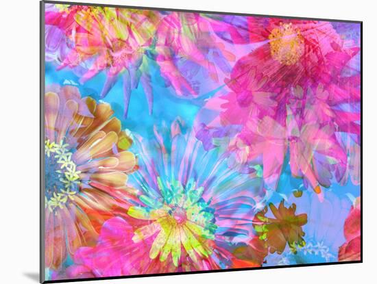 Multicolor Blossom Design from Zinnia, Gerber Daisy and Texture, Photographic Layer Work-Alaya Gadeh-Mounted Photographic Print