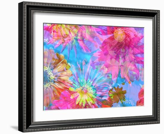 Multicolor Blossom Design from Zinnia, Gerber Daisy and Texture, Photographic Layer Work-Alaya Gadeh-Framed Photographic Print