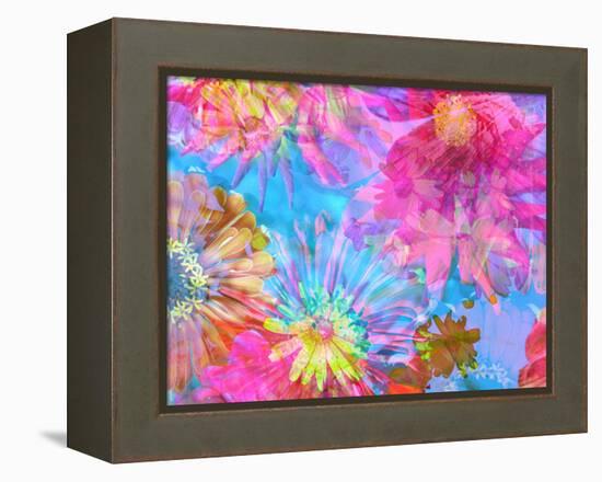 Multicolor Blossom Design from Zinnia, Gerber Daisy and Texture, Photographic Layer Work-Alaya Gadeh-Framed Premier Image Canvas