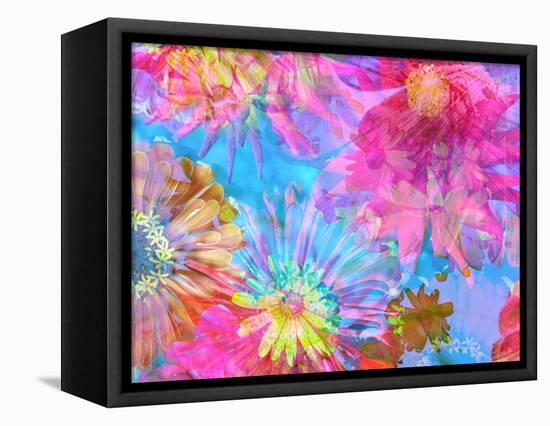 Multicolor Blossom Design from Zinnia, Gerber Daisy and Texture, Photographic Layer Work-Alaya Gadeh-Framed Premier Image Canvas