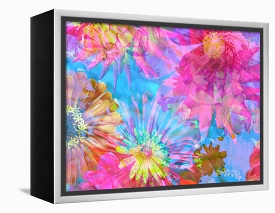 Multicolor Blossom Design from Zinnia, Gerber Daisy and Texture, Photographic Layer Work-Alaya Gadeh-Framed Premier Image Canvas