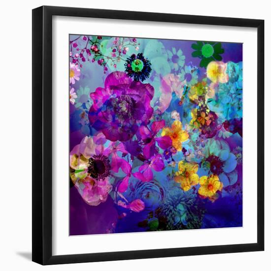 Multicolor Blossoms in Deep Blue Water-Alaya Gadeh-Framed Photographic Print