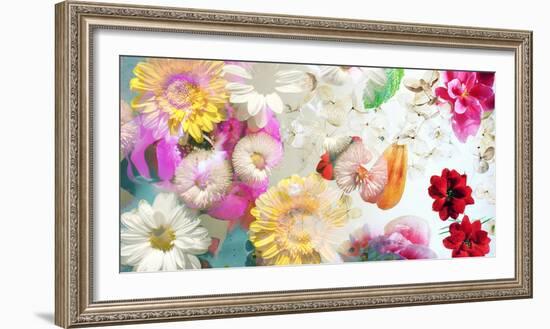 Multicolor Blossoms in Water-Alaya Gadeh-Framed Photographic Print