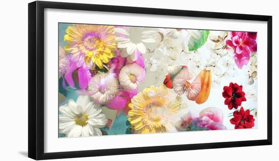Multicolor Blossoms in Water-Alaya Gadeh-Framed Photographic Print