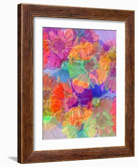 Multicolor Blossoms of Mexican Zinnia, Poetic Photographic Layer Work-Alaya Gadeh-Framed Photographic Print