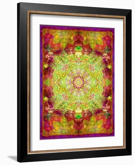 Multicolor Ornament from Flower Photographs-Alaya Gadeh-Framed Photographic Print