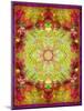 Multicolor Ornament from Flower Photographs-Alaya Gadeh-Mounted Photographic Print
