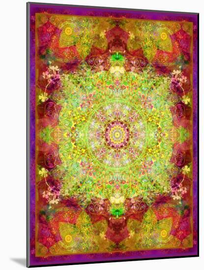 Multicolor Ornament from Flower Photographs-Alaya Gadeh-Mounted Photographic Print