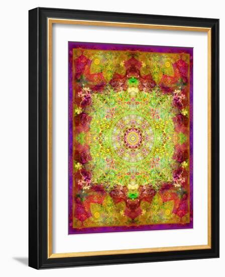 Multicolor Ornament from Flower Photographs-Alaya Gadeh-Framed Photographic Print