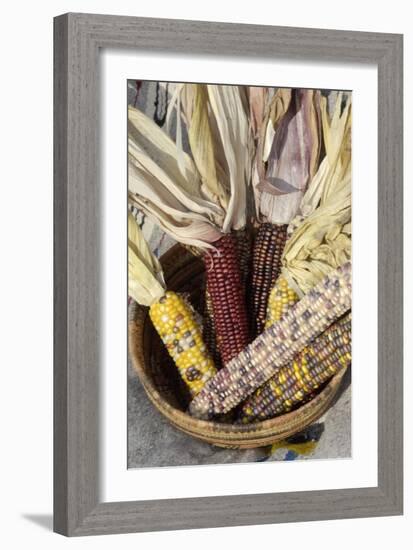 Multicolored Corn, a Native American Staple Crop, in an Indian Basket-null-Framed Giclee Print