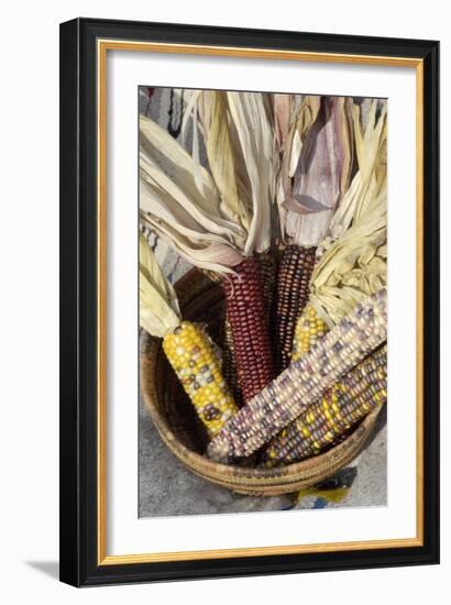Multicolored Corn, a Native American Staple Crop, in an Indian Basket-null-Framed Giclee Print