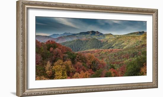 Multicolored fall panoramic landscape, Wasatch Mountains, near Park City and Midway, Utah, USA.-Howie Garber-Framed Photographic Print