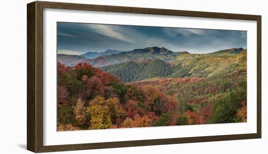 Multicolored fall panoramic landscape, Wasatch Mountains, near Park City and Midway, Utah, USA.-Howie Garber-Framed Photographic Print