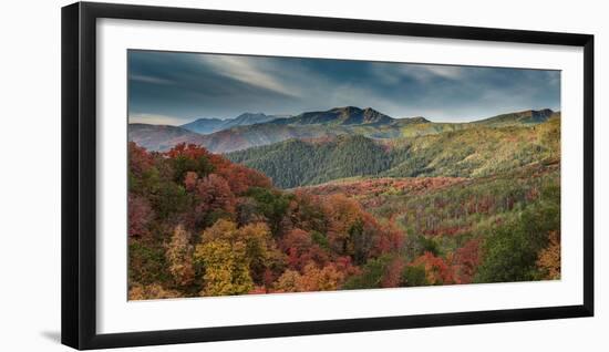 Multicolored fall panoramic landscape, Wasatch Mountains, near Park City and Midway, Utah, USA.-Howie Garber-Framed Photographic Print