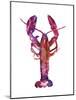 Multicolored Lobster-Edward Selkirk-Mounted Art Print