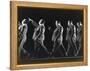 Multiple Exposure of Alfred Hitchcock-Gjon Mili-Framed Premier Image Canvas
