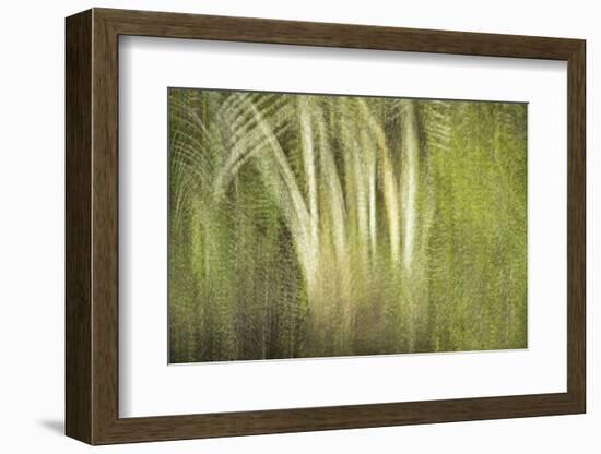 Multiple Exposure of Florida Palm Trees in Water-Rona Schwarz-Framed Photographic Print