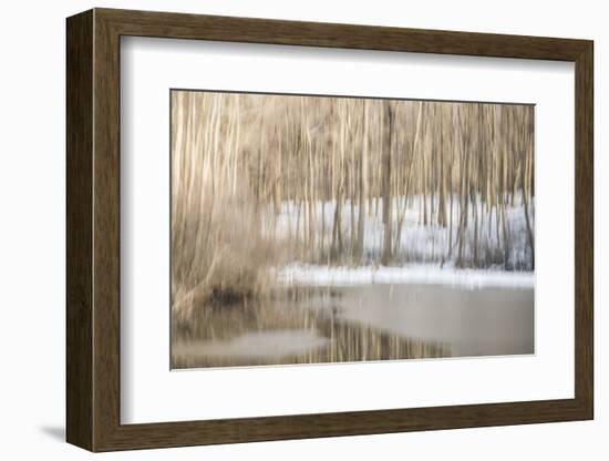 Multiple Exposure of Trees in Winter, Eagle Creek Park, Indiana-Rona Schwarz-Framed Photographic Print