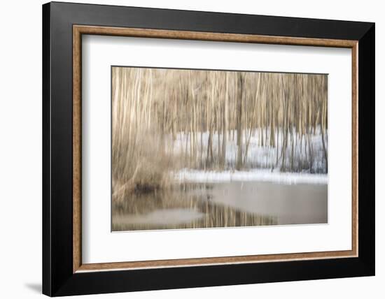 Multiple Exposure of Trees in Winter, Eagle Creek Park, Indiana-Rona Schwarz-Framed Photographic Print