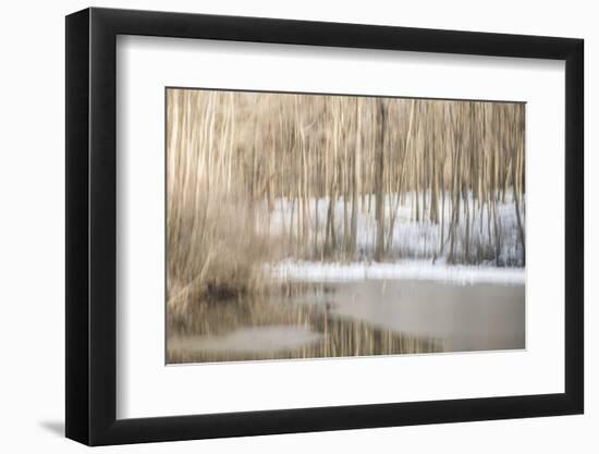 Multiple Exposure of Trees in Winter, Eagle Creek Park, Indiana-Rona Schwarz-Framed Photographic Print