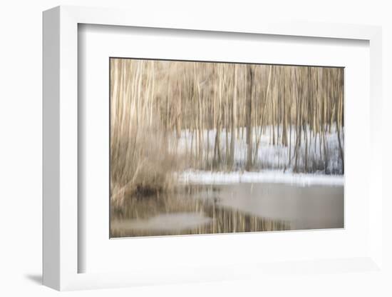 Multiple Exposure of Trees in Winter, Eagle Creek Park, Indiana-Rona Schwarz-Framed Photographic Print