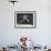 Multiple Exposure Shot of a Gymnast Jumping on a Trampoline-J^ R^ Eyerman-Framed Photographic Print displayed on a wall