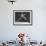 Multiple Exposure Shot of a Gymnast Jumping on a Trampoline-J^ R^ Eyerman-Framed Photographic Print displayed on a wall