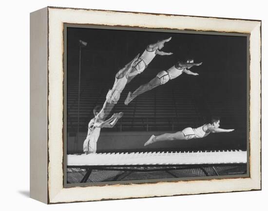 Multiple Exposure Shot of a Gymnast Jumping on a Trampoline-J^ R^ Eyerman-Framed Premier Image Canvas