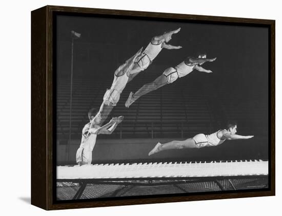 Multiple Exposure Shot of a Gymnast Jumping on a Trampoline-J^ R^ Eyerman-Framed Premier Image Canvas