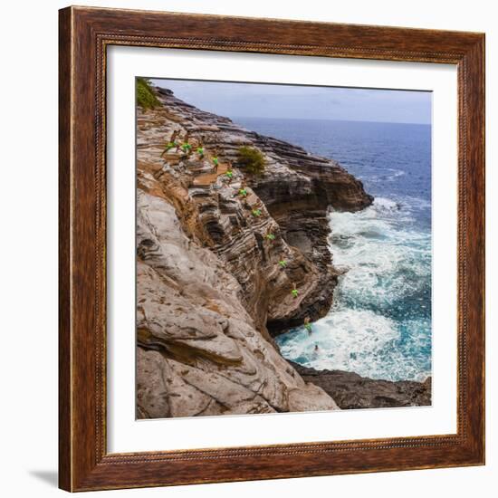 Multiple Exposure Stop Action Photo of Jump Off Cliff at Kawaihoa Point-Charles Crust-Framed Photographic Print