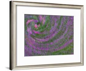 Multiple Exposure Swirl of Purple Petunias, Arlington, Virginia, USA-Corey Hilz-Framed Photographic Print