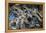 Multiple exposures of toy army men-null-Framed Stretched Canvas