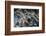 Multiple exposures of toy army men-null-Framed Photo