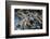 Multiple exposures of toy army men-null-Framed Photo