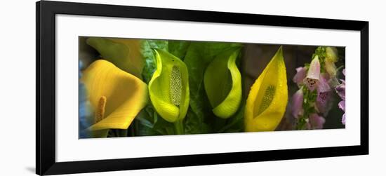 Multiple Images of Flowers-null-Framed Photographic Print