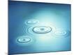Premium Photographic Print