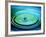 Multiple Ripples From a Water Drop-Adam Hart-Davis-Framed Photographic Print