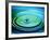 Multiple Ripples From a Water Drop-Adam Hart-Davis-Framed Photographic Print