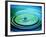 Multiple Ripples From a Water Drop-Adam Hart-Davis-Framed Photographic Print