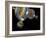 Multiple Universes, Artwork-Henning Dalhoff-Framed Photographic Print