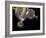 Multiple Universes, Artwork-Henning Dalhoff-Framed Photographic Print