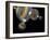 Multiple Universes, Artwork-Henning Dalhoff-Framed Photographic Print