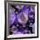 Multiverse, Artwork-Detlev Van Ravenswaay-Framed Photographic Print