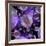 Multiverse, Artwork-Detlev Van Ravenswaay-Framed Photographic Print