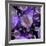 Multiverse, Artwork-Detlev Van Ravenswaay-Framed Photographic Print