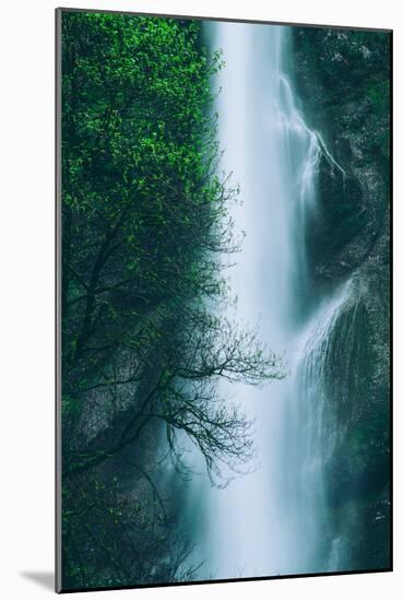 Multnomah Detail in Spring, Waterfall Columbia River Gorge, Oregon-Vincent James-Mounted Photographic Print