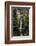 Multnomah Falls 1-John Gusky-Framed Photographic Print